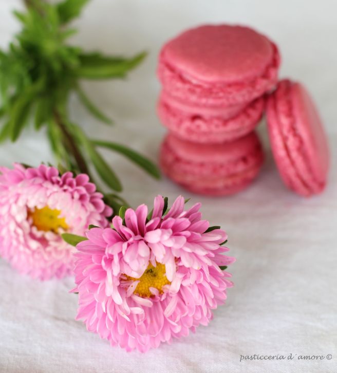 macaron7