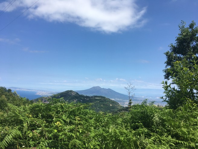 75f7061b-4a99-4425-937a-b39c742b9543